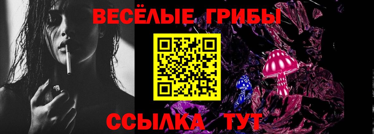 Псилоцибиновые грибы Psilocybine cubensis Железногорск